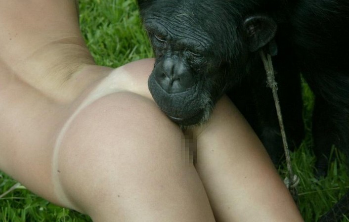 порно с обезьянами