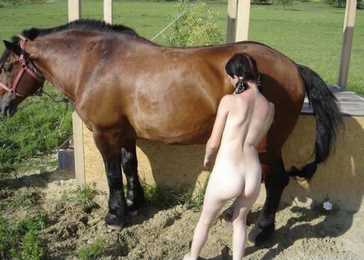 Моложавая девка с косичками устроила зоопорно с конем смотреть фото онлайн