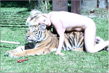 Красивое эмоциональное зоо порно фото с полосатым хищником