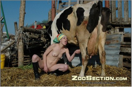 Скотоложница дрочит вагину и тащит буренку за титьки фото зоофилия порнуха