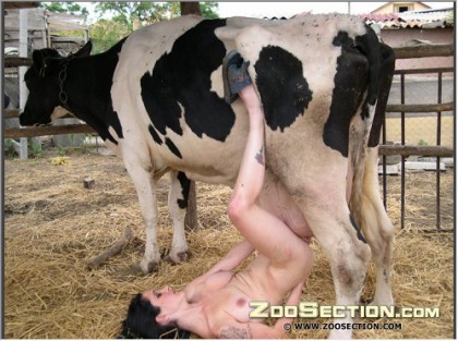 Безумная худая женщина онанирует киску сиськой коровы зоопорно фотки