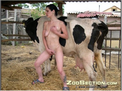 Безумная худая женщина онанирует киску сиськой коровы зоопорно фотки