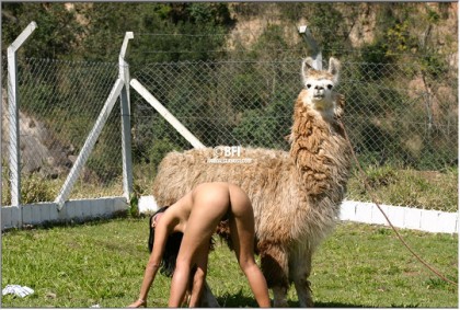 Симпатичная верблюдиха смотрит как онанирует извращенка фотки zoo porn