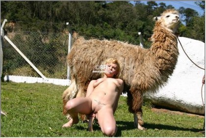 Симпатичная верблюдиха смотрит как онанирует извращенка фотки zoo porn