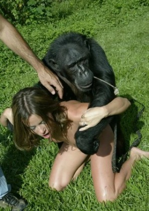 Распутные бляди устроили секс с черной обезьяной смотреть зоопорно фото онлайн и скачать