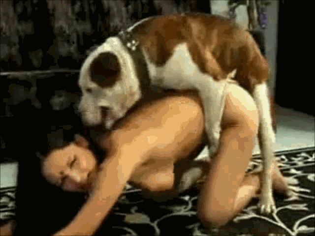 Animal porn reddit 🍓 женщины трахаются с животными зрелые - 