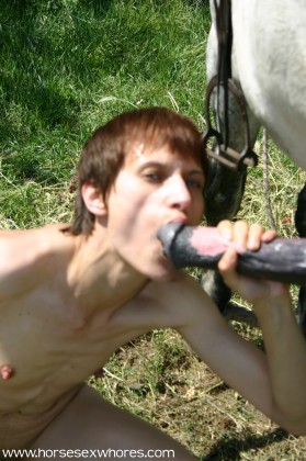 Парень взял в рот толстый хуй коня зоопорно фото