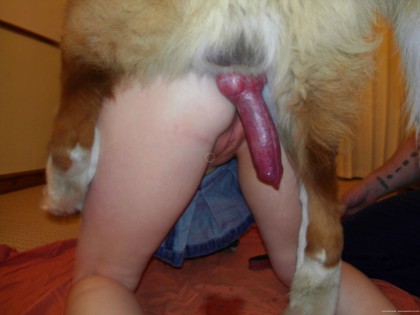 Собачий хуй в пизде у женщины- крупный план смотреть зоопорно фото онлайн