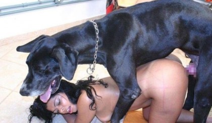 Голая баба трахается в пизду с собакой смотрите зоопорно фото онлайн