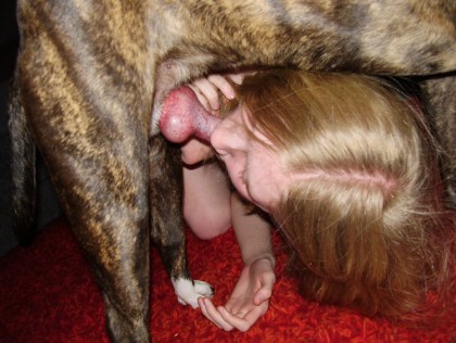 Взяла в рот красный хуй собаки по домашнему на зоопорно фото онлайн