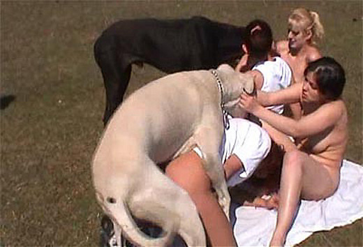 Порнозоо фотографии взбудораженные извращенцы устроили групповуху с животными