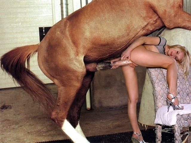 Порно зоо фото бабы сосут у коня огромный елдометр и глотают сперму
