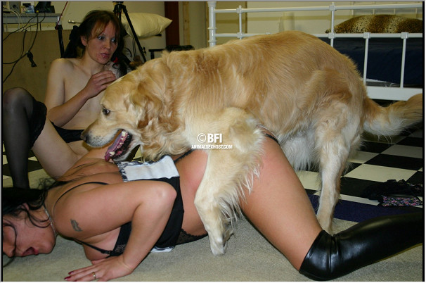 Сочные дамочки на порно зоофото отдаются большой собаке в мокрые писечки