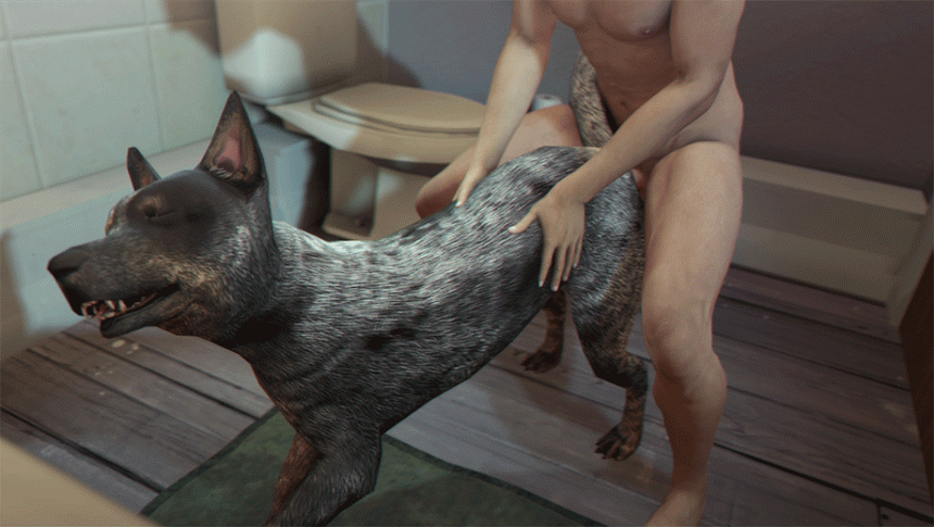 Коварный гомосек трахает собачью самку под хвост - смотрите онлайн порно гифки