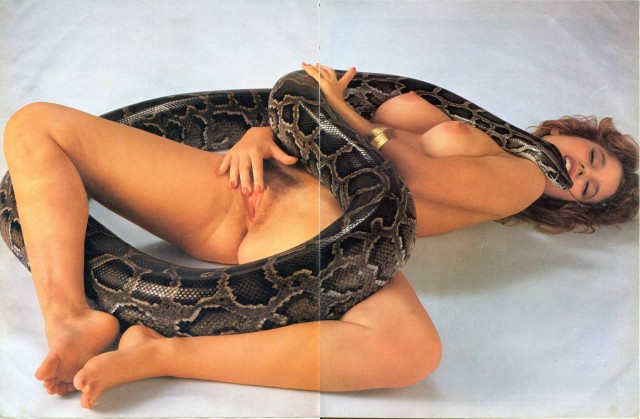 Голая телочка с разношенными дырками обалденно кончает когда трахается со змеей