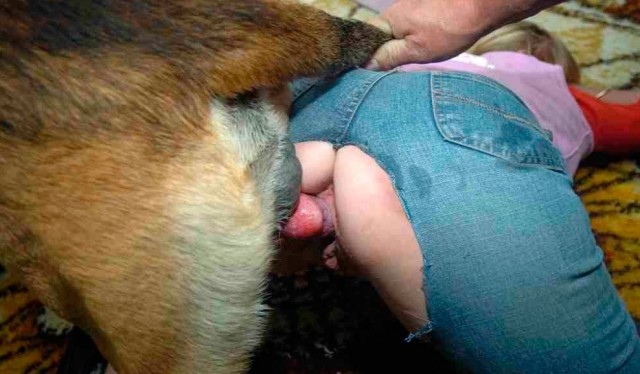 Ублажила домашнюю собаку минетом и дала потрахать реальное фото zoo