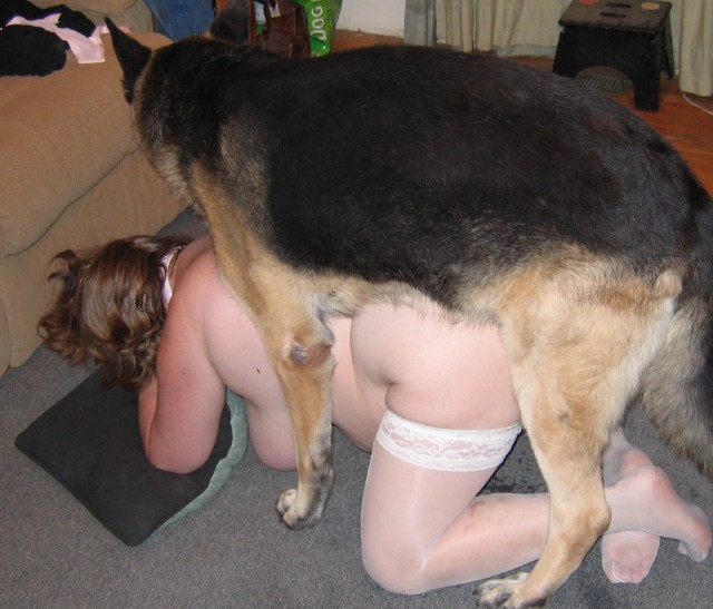 Подлинные фото порнозоо дама сношается с собачкой