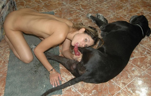 Девка шикарно спаривается с собакой - онлайн зоопорно фото
