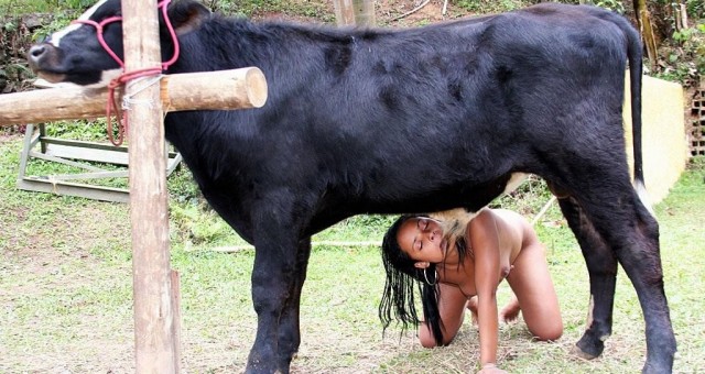 Милая крошка отсасывает у быка реальное зоопорно фото