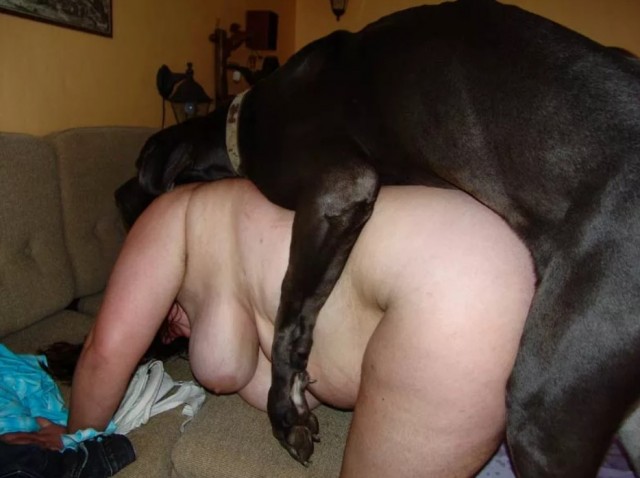 Жирная шмара встала раком и отдается собаке порно зоо фото онлайн