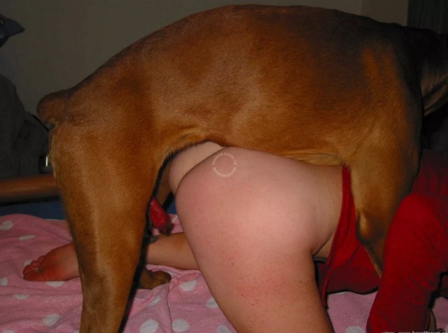 Опытная мадам хорошо покуралесила с собакой онлайн зоопорно фото