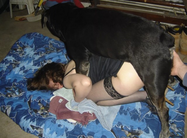Опытная мадам хорошо покуралесила с собакой онлайн зоопорно фото