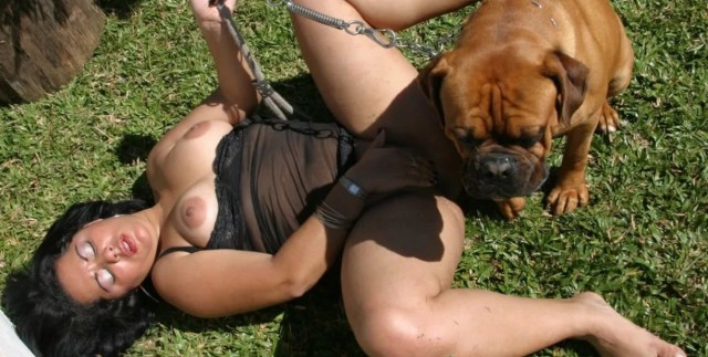 Жирная дамочка отдается возбужденной собаке в мокрую пизду онлайн зоопорно