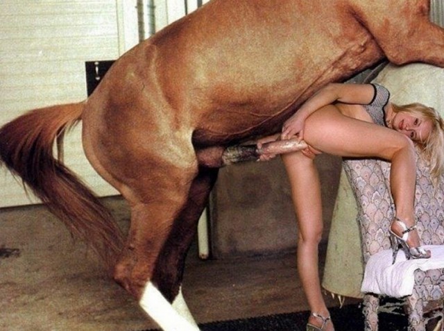 Баба испытывает неимоверный кайф когда трахается с конем на зоопорно фото