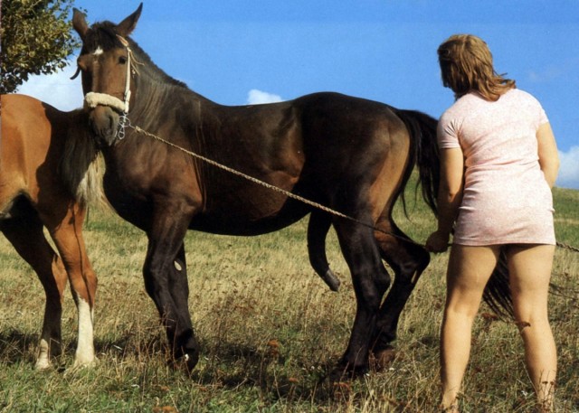 Сиськатая малышка с волосатой писечкой опробовала разный секс с конем