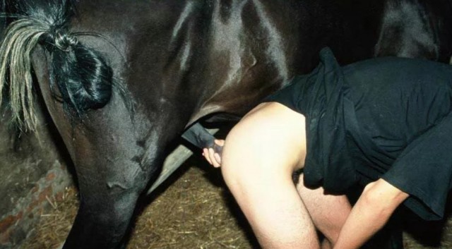 Пони сношает голого мужика в попку на онлайн зоопорно фото