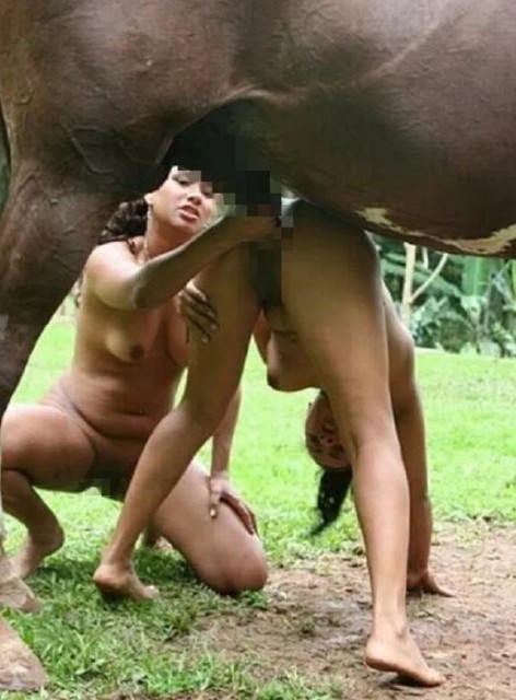 Подруга подмогла встремить конячий хуй в писечку и рот зоофилки на зоопорно фото онлайн