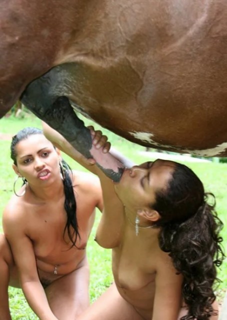 Подруга подмогла встремить конячий хуй в писечку и рот зоофилки на зоопорно фото онлайн