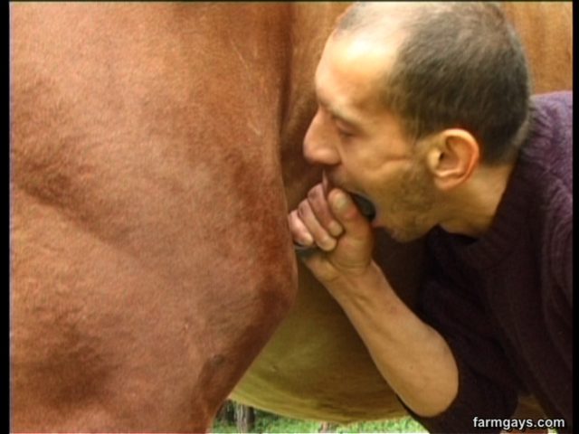 Секс с животными-мужик долбится в попку и сосет у коня и собаки онлайн зоопорно фото