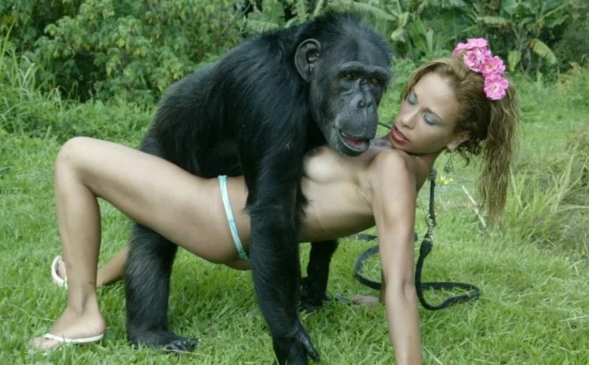 Ape Porn Clips.