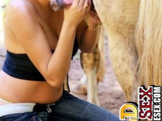 Сиськатые мандовохи трут губы лошадиным пенисом и страстно отсасывают онлайн зоопорно фото