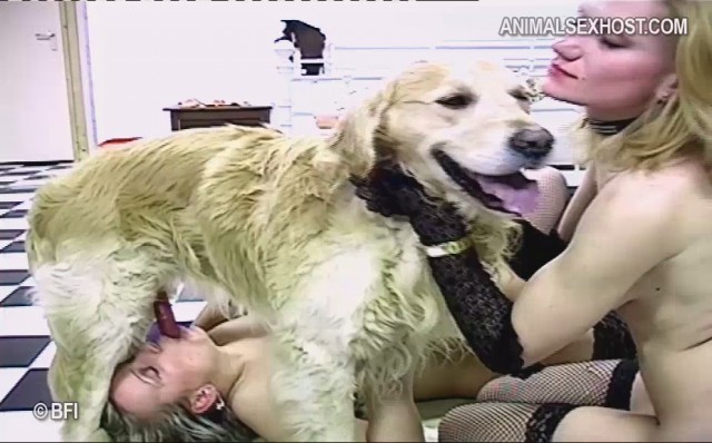 Подборка домашнего зоо порно фото как голые девки ебутся с животными №1 смотрите онлайн