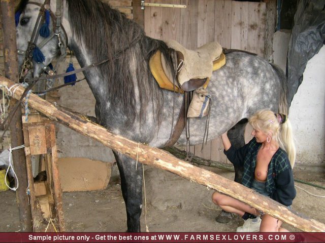 Красотка встремила хер коня в писечку-прекрасный вид на фото зоопорно