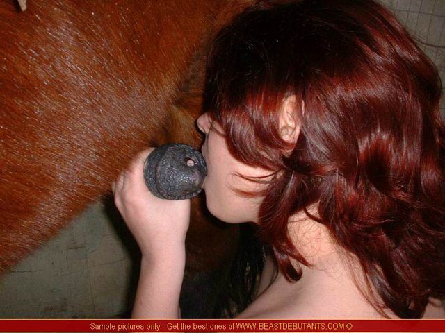 Бухая шалава пылко сосет упругий конячий болт на онлайн порно зоо фотках