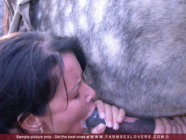 Бухая шалава пылко сосет упругий конячий болт на онлайн порно зоо фотках