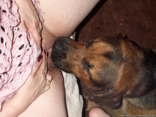 Песик активно делает куни своей развратной хозяйке - смотрите фото вылизывание пизды собакой