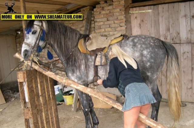 Любительницы пошпилится с конем развлекаются в конюшне большим лошадиным елдометром