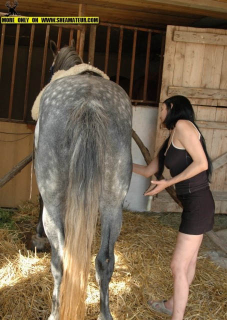 Любительницы пошпилится с конем развлекаются в конюшне большим лошадиным елдометром