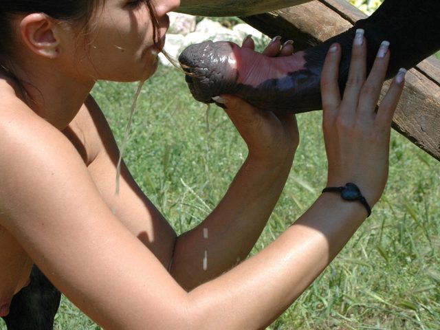 Horse zoo porn - баба берет в рот толстый конский пенис - онлайн фото секс