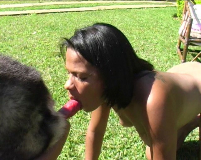 Милые бразильянки на порно зоо фото забавляются с собакой