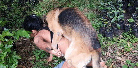 Латинская зоофилка на природе трахается с собакой во всех позах - зоо гифки порно