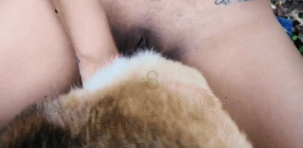 Латинская зоофилка на природе трахается с собакой во всех позах - зоо гифки порно