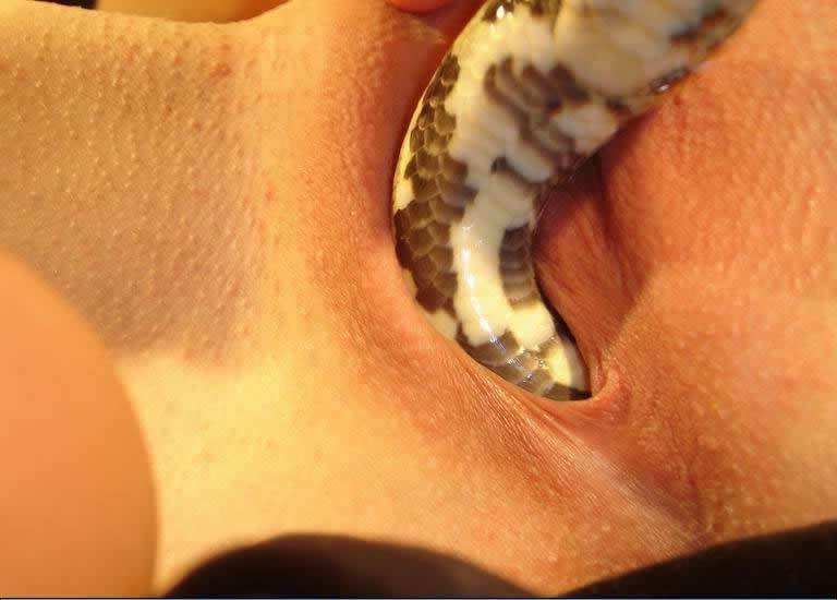 Girls full nude sex with snake