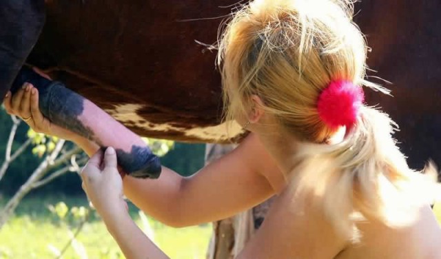 Голые девушки на природе в жаркий день устроили порево с лошадью на фото