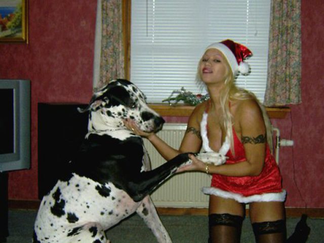 Сексуальная дамочка в новогоднем наряде рядом со своей собакой - порно фото эротика зоо
