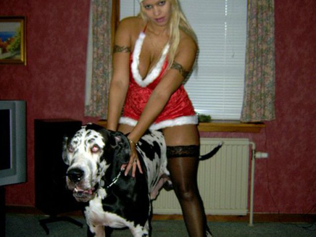 Сексуальная дамочка в новогоднем наряде рядом со своей собакой - порно фото эротика зоо